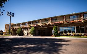 Best Western Idaho Falls Driftwood Inn